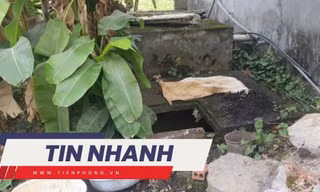 TIN NHANH: Vụ hài cốt trong bể nước, 13 năm tìm kiếm vô vọng; Bồi thường xe của sinh viên bị cháy ở Thanh Hoá như nào?