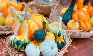 Săn mua set bí ngô đẹp hút mắt ‘sống ảo’ dịp Halloween