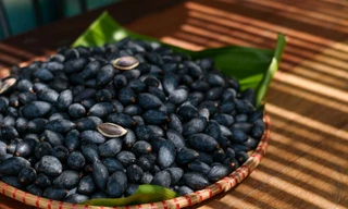 Thị trường ngày 11/9: Trám đen vào vụ, lô tôm đầu tiên xuất khẩu sang EU theo EVFTA