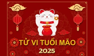 TỬ VI TUỔI MÃO 2025: Vượt qua Tam Tai, sự thành lộc phát