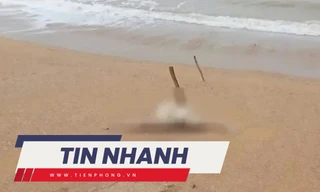 TIN NHANH: Xác định thi thể nữ giới không đầu dạt bờ biển Quảng Nam