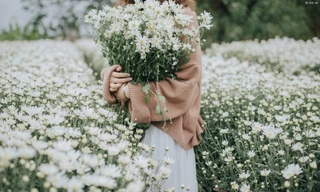 Thị trường 25/11: Sầu riêng tăng giá cao, chủ vườn cúc họa mi 'hốt bạc'