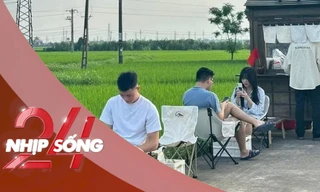 NHỊP SỐNG 24: Quán cà phê đồng ruộng hút khách