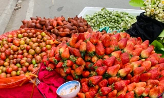 Hà Nội: Hoa quả đặc sản tưởng rẻ hóa đắt, loại đắt giá lại rẻ không tưởng
