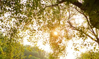 Miền Bắc có thể lên tới 20 độ trưa nay