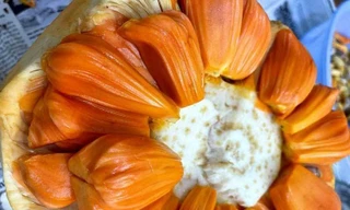 Mít ruột đỏ miền Tây, giá cao ngất ngưởng vẫn ‘cháy hàng’