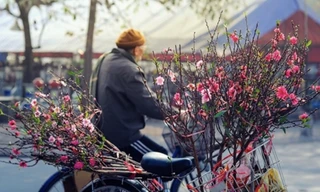 Nam Bộ mưa trái mùa, Miền Bắc hửng nắng