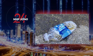 NHỊP SỐNG 24: Lên mạng cầu cứu vì bị nghi liên quan cái chết của nam shipper ở Đà Nẵng