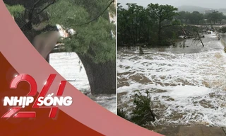 NHỊP SỐNG 24: Bị lũ quét cuốn trôi 32km, cô gái sống sót kỳ diệu nhờ bám được vào cây