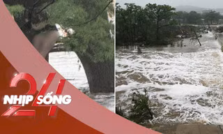 NHỊP SỐNG 24: Bị lũ quét cuốn trôi 32km, cô gái sống sót kỳ diệu nhờ bám được vào cây