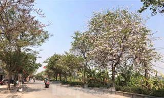 Miền Bắc tăng nhiệt, Nam Bộ nắng nóng