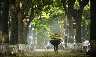 Miền Nam giảm mưa, miền Bắc hửng nắng