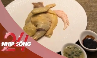 NHỊP SỐNG 24: Đĩa gà luộc có giá 1,6 triệu đồng gây tranh cãi