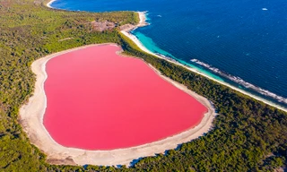 Tại sao ở Úc có nhiều hồ màu hồng?
