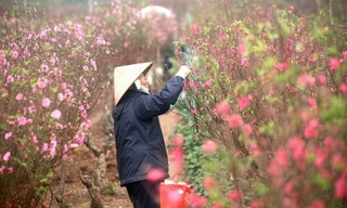 Thời tiết dịp Tết Nguyên đán 2022 ra sao?