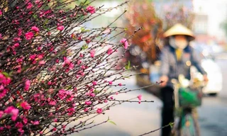 Miền Bắc hửng nắng trước khi gió mùa về