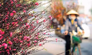 Miền Bắc hửng nắng trước khi gió mùa về