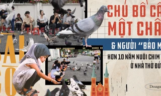 Chú bồ câu một chân và 'bảo mẫu' hơn 10 năm nuôi chim trời ở Nhà thờ Đức Bà 