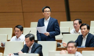 Phó Thủ tướng Chính phủ Vũ Đức Đam