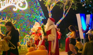 90 cây tùng bách thắp đèn từ gốc đến ngọn, Vũng Tàu sáng rực dịp Noel