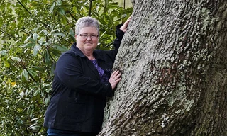 Phải lòng một... cây sồi