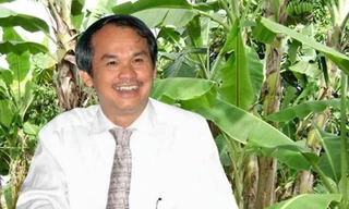 Bầu Đức có thể lãi nghìn tỷ nhờ vườn chuối