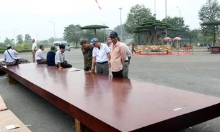 Dân thủ đô đổ xô đi xem 'mỹ nhân chân dài' tiền tỷ