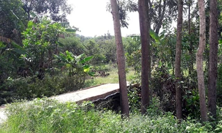 Đường vào nhà đối tượng Lực.