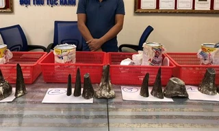 Số sừng tê giác bị tịch thu. 