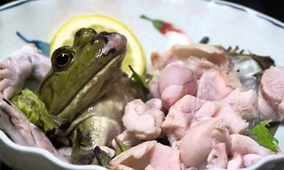 Người phụ nữ nuôi sán trong ngực suốt 5 năm do ăn ếch sống. Ảnh minh hoạ