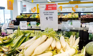 'Giải cứu' khẩn cấp: Củ cải tăng giá gấp 3 lần