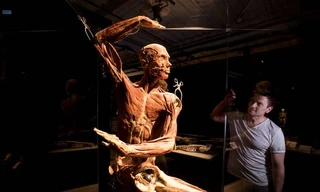 Xác chết nhảy múa trong triển lãm Body Worlds Vital. 