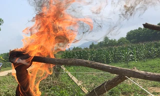 Miếng giẻ nhúng vào nước bị nhiễm dầu bắt lửa nhanh, mạnh. Ảnh: VnExpress