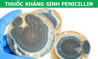 Tìm hiểu về những loại thuốc làm thay đổi lịch sử nhân loại