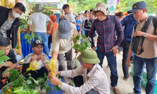 Tận thấy phiên chợ tiền tỷ của các 'đại gia chân đất'
