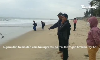 Hé lộ thông tin về tàu cổ trồi lên bờ biển Hội An