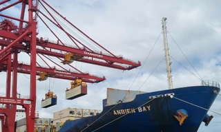 Hơn 300 container qua cảng Chu Lai trong ngày làm việc đầu tiên 