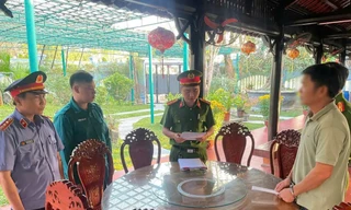 Một thương lái buôn hơn 1 triệu tấn gỗ keo bị bắt vì trốn thuế hàng chục tỷ đồng