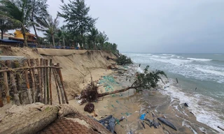 Cận cảnh sạt lở ở biển Hội An khiến phải công bố tình trạng khẩn cấp