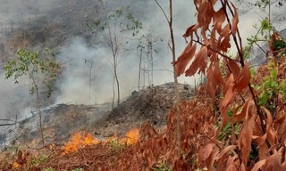 Đốt thực bì trong rừng keo, người đàn ông ở Quảng Nam bị bỏng tử vong
