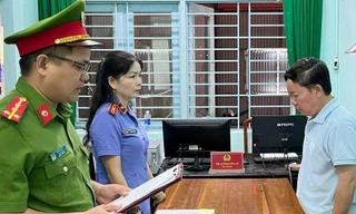 Quảng Nam: Một tổng giám đốc bị bắt vì phá rừng