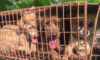 Ảnh minh hoạ, nguồn internet.