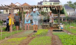 Làng rau ở Hội An trở thành 'Làng du lịch tốt nhất' năm 2024