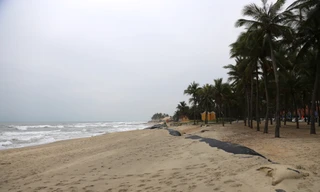 Đầu tư gần 1.000 tỷ đồng chống xói lở, bảo vệ bờ biển Hội An