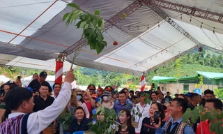 Công nhận tri thức dân gian về sâm là Di sản văn hóa phi vật thể quốc gia