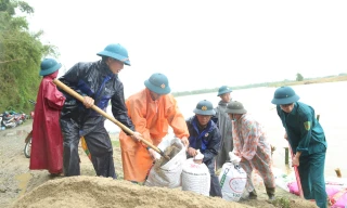 Quảng Nam: Cả làng đội mưa vá bờ sông sạt lở