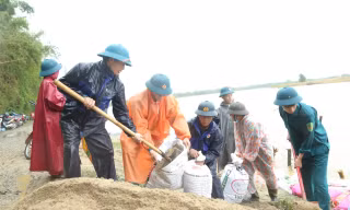 Quảng Nam: Cả làng đội mưa vá bờ sông sạt lở