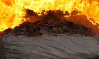 Tiêu hủy gần 10 tấn tang vật động vật hoang dã 300 tỷ đồng ở Quảng Nam