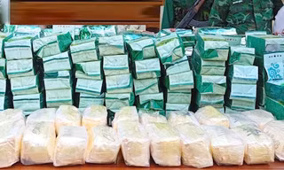 8 đối tượng người nước ngoài mang gần 200 kg ma túy vào Việt Nam