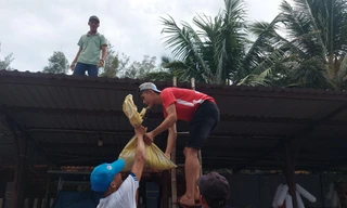 Người dân Quảng Nam cấp tập chằng chống nhà cửa chạy bão Noru